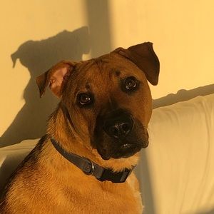 Meet your Posher, Emanuel